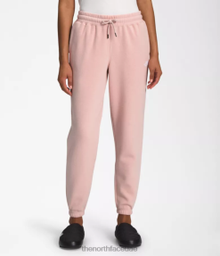 الطحلب الوردي/TNF الأبيض نحيف The North Face بنطال رياضي من الصوف بنصف قبة J688D981