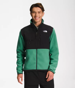 العشب الأخضر العميق رجال The North Face سترة دينالي J688D197