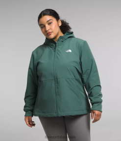 حكيم الظلام نحيف The North Face بالإضافة إلى هوديي شيلبي راشيل J688D245