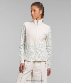 طبعة جرافيك نكة مغبرة/غردينيا بيضاء نحيف The North Face جبال الألب بولارتيك 100 سترة J688D445