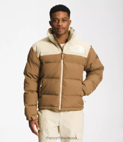 فائدة البني / الحصى رجال The North Face 92 نوبتسي منخفض الدقة J688D827