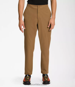 فائدة البني رجال The North Face السراويل المدببة القياسية J688D1215