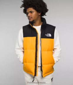 قمة الذهب/TNF الأسود رجال The North Face 1996 سترة Nuptse الرجعية J688D293