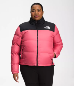كوزمو الوردي نحيف The North Face بالإضافة إلى سترة Nuptse الرجعية عام 1996 J688D799