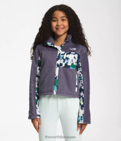 لائحة القمر أطفال The North Face سترة الصوف المزج J688D73