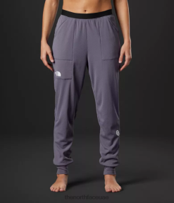 لائحة القمر نحيف The North Face سلسلة القمة السراويل الصوفية المستقبلية J688D898